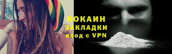 молекула духа Белоозёрский