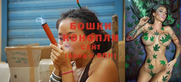 PSILOCYBIN Бородино