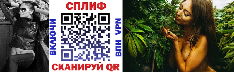 kraken ТОР  Маркс  Каннабис планчик 